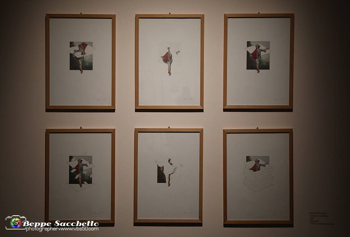 VBS_1294 - Castello di Miradolo - Mostra Oltre il giardino l'Abbecedario di paolo Pejrone.jpg